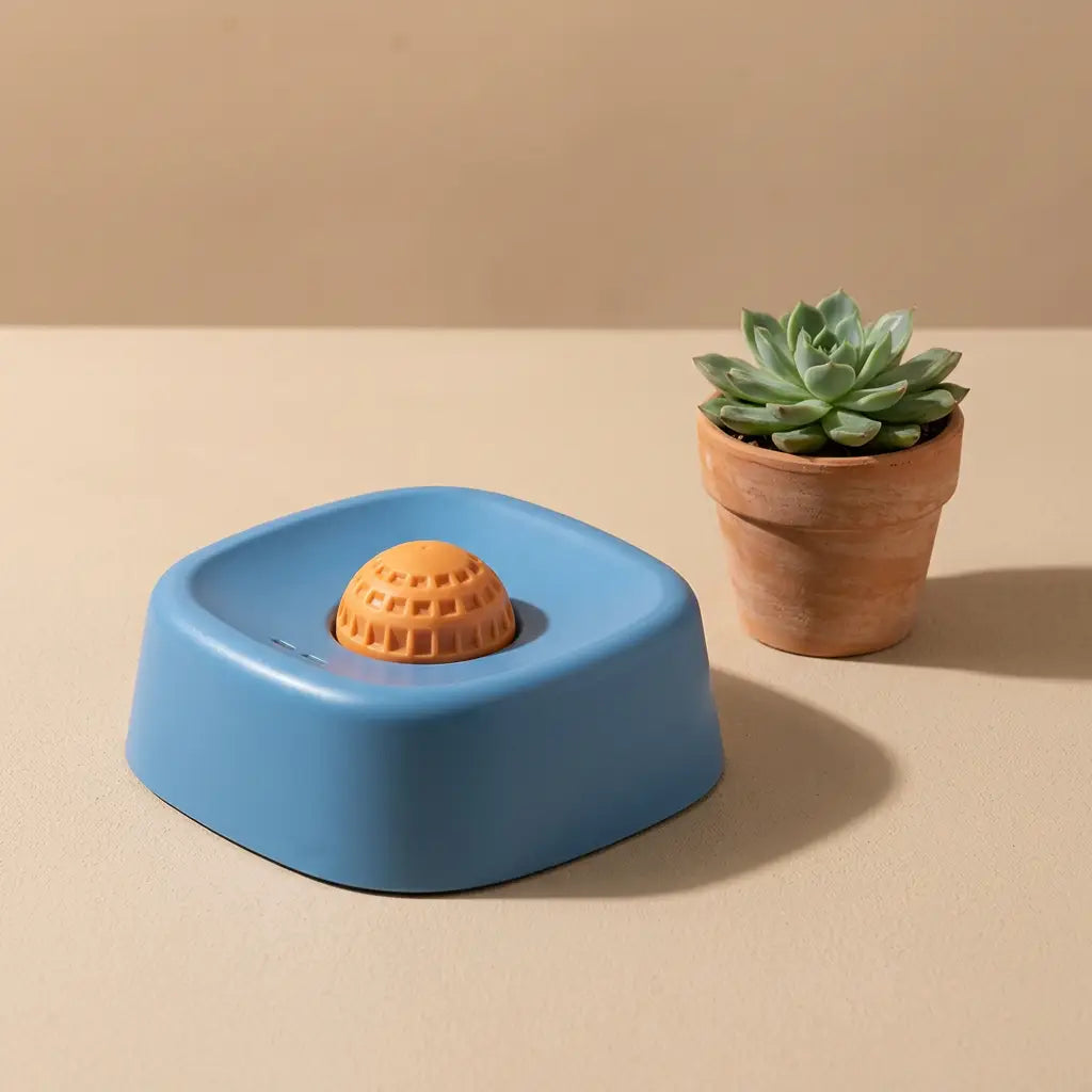 Lickobowl — Gamelle  Interactive